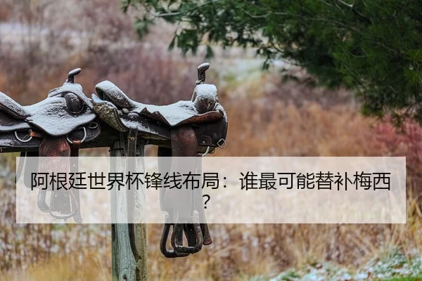 阿根廷世界杯锋线布局：谁最可能替补梅西？